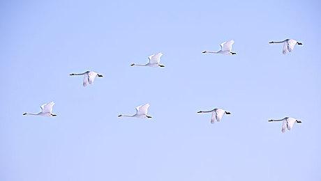 N卡被吊打！《黑色行动7》测试：9070 XT性能领先5070ti